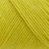 251 Electric Yellow