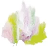 Fjær pastell 10g