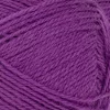 5045 Plum