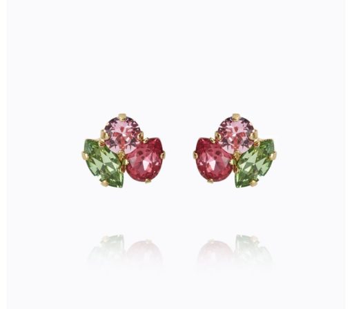 Ana earring tropicana combo