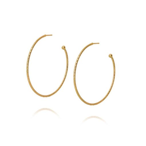 Evita loop earrings gold