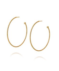 Evita loop earrings gold