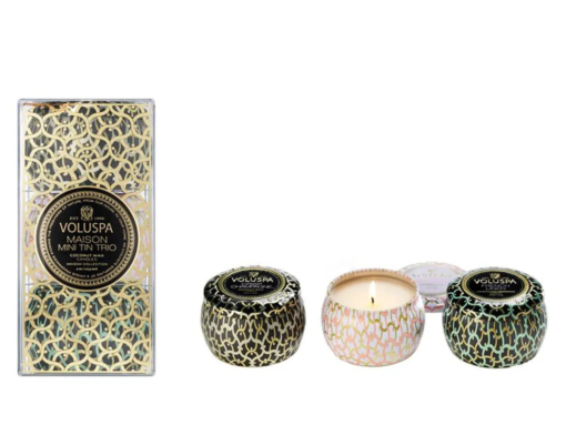 Maison mini tin trio