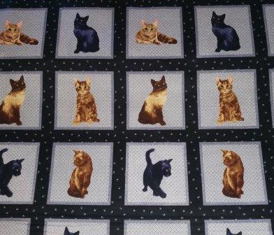 Panel Katter små, tre rader.