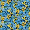 Små gule og blå blomster, Madison, bit 50 cm
