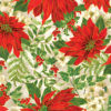 Poinsettia Serenade Cream