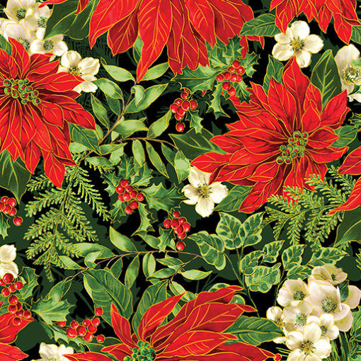 Poinsettia Serenade Black