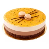 Pasjonsfrukt og sjokolademoussekake