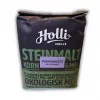 Holli steinmalt purpurhvete fin sammalt