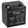 YUASA BATTERI (YB30L-B)