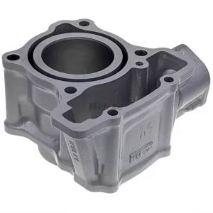 CYLINDER COMP + PISTON + RING SET, PISTON S