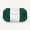 Peer Gynt 7772 Rain forest