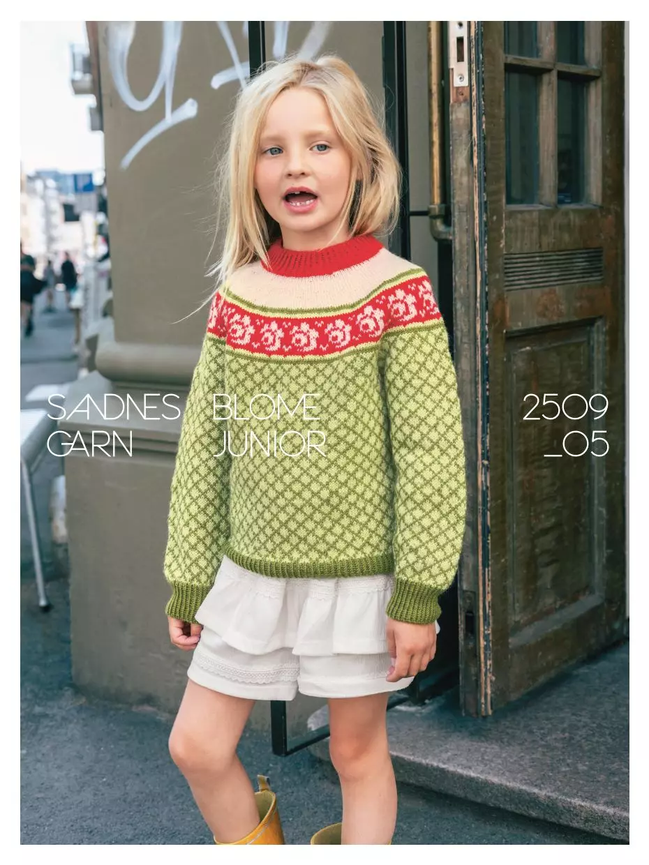 2509 Nr. 5 - Blome genser junior Flerfarget
