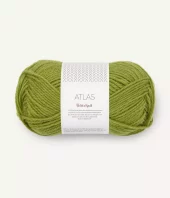 PK Atlas 9564 Matcha