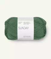 Sunday 8073 Elm Green