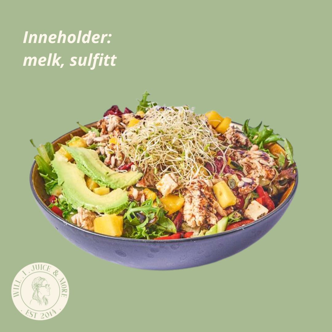 Salat Mango Kylling