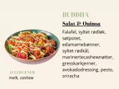 Quinoabowl - Buddha