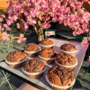 Muffins sjokolade glutenfri