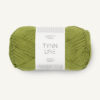 Sandnes Tynn Line 9564 Matcha