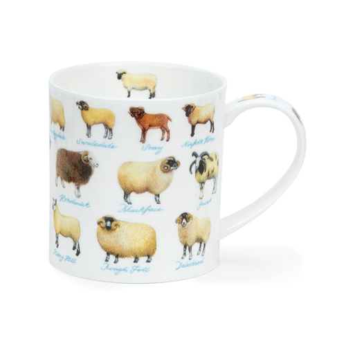 Orkney On the Farm - Sheep