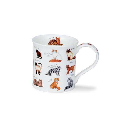 Bute Animal breeds – Cat