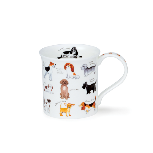 Bute Animal Breeds – Dog Breeds