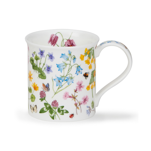 Bute Wild flowers - Harebells