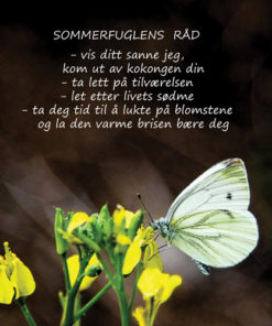 Fru Amundsens kort - natur 41 - Sommerfuglens råd