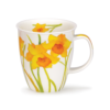 Nevis Flora - Daffodils