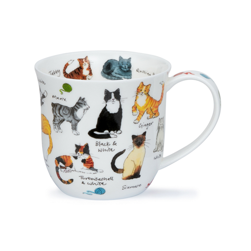 Cumbrae Cat breeds