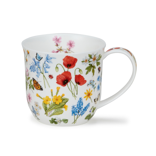 Cumbrae Wild flowers - Poppy