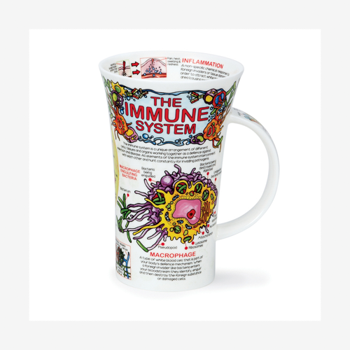 Glencoe Immune system