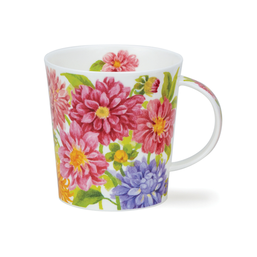 Lomond Flora bonita – Dahlia (Asters)