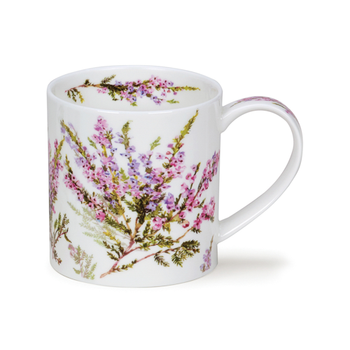 Orkney Scottish heather (røsslyng)