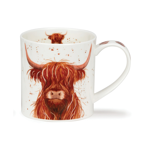 Orkney Shaggy tails - Highland cow