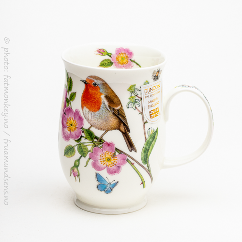 Suffolk Hedgerow Birds – Robin