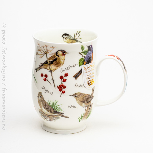 Suffolk Dawn song – Goldfinch (robin under)