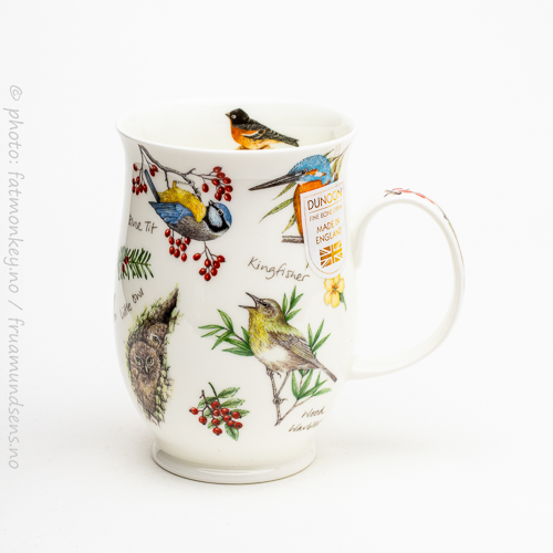 Suffolk Dawn song – Kingfisher