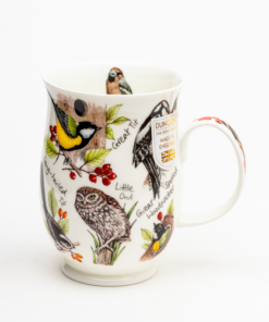 Suffolk Birdlife – Woodpecker (fink under)