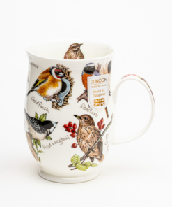 Suffolk Birdlife – Goldfinch (robin under)