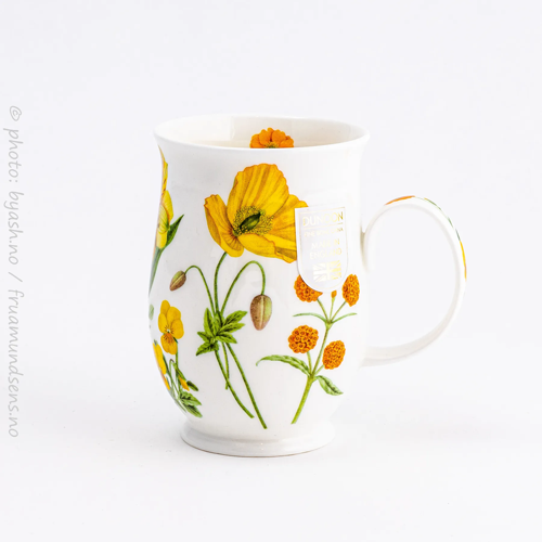 Suffolk Melody (gul)