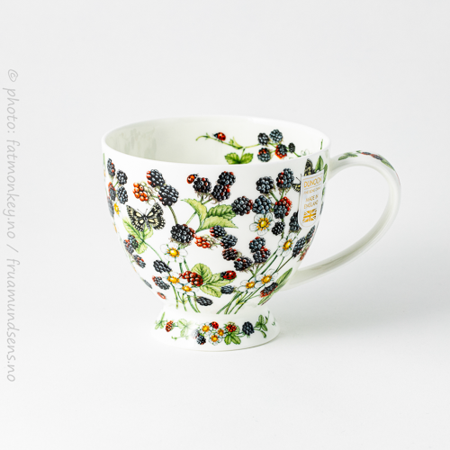 Skye Wild blackberries