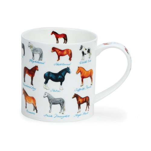 Orkney On the Farm - Horses