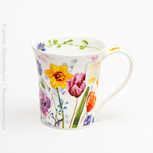 Jura Wild garden – Daffodil