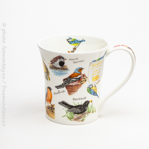 Jura Birdlife – Blue tit