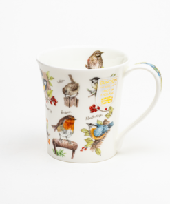 Jura Birdlife – Robin