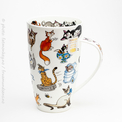 Henley Cats – Catastrophe