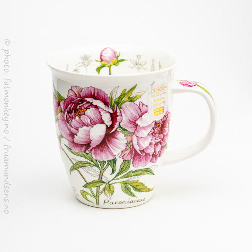 Nevis Botanical sketch – Peony