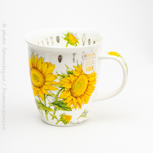 Nevis Floral sketch – Sunflower