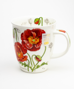 Nevis Botanical sketch – Poppy – Papaver